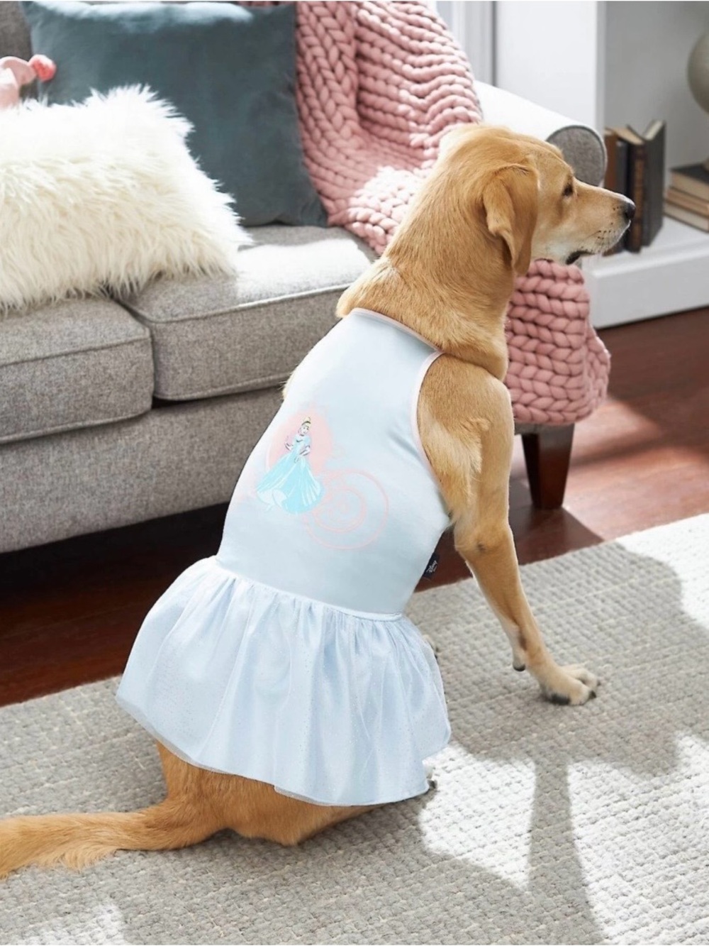 (M) Disney Cinderella Satin Dog & Cat Dress